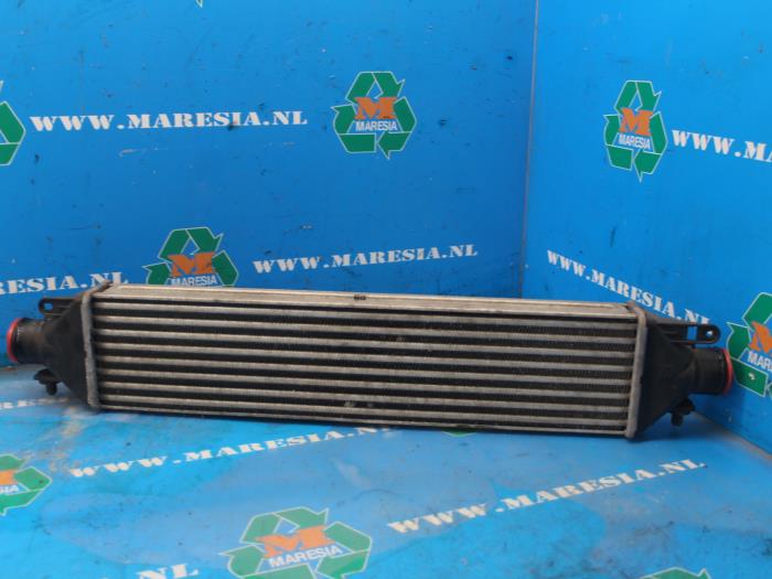 Usados Intercooler Opel Combo 1.3 CDTI 16V ecoFlex Precio € 42,00 Norma de margen ofrecido por Maresia Auto Recycling B.V.
