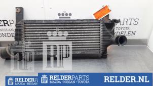 Gebrauchte Ladeluftkühler Nissan Pathfinder (R51) 2.5 dCi 16V 4x4 Preis € 135,00 Margenregelung angeboten von Relder Parts B.V.