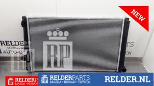 Usagé Radiateur Toyota RAV4 (A3) 2.0 16V VVT-i 4x4 Prix € 90,00 Règlement à la marge proposé par Relder Parts B.V.