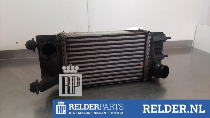 Usagé Intercooler Nissan NV 200 (M20M) 1.5 dCi 90 Prix € 35,00 Règlement à la marge proposé par Relder Parts B.V.