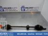 Front drive shaft, right from a Toyota Yaris Verso (P2), 1999 / 2005 1.3 16V, MPV, Petrol, 1.299cc, 62kW (84pk), FWD, 2NZFE, 2002-11 / 2005-09, NCP22 2004
