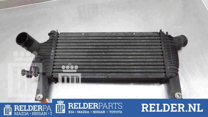 Intercooler Nissan Pathfinder (R51), 2005 / 2014 2.5 dCi 16V 4x4, SUV, Diesel, 2.488cc, 120kW (163pk), 4x4, YD25DDTI, 2005-01 / 2014-12, R51CC1 (Occasion)