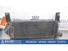 Intercooler from a Nissan Navara (D40), 2005 2.5 dCi 16V 4x4, Pickup, Diesel, 2.463cc, 128kW (174pk), 4x4, YD25DDTI, 2005-07 / 2010-07, D40 2008