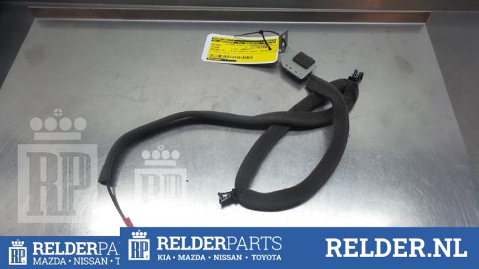 Begagnade Antenn Nissan Qashqai (J11) 1.2 DIG-T 16V Pris € 27,00 Marginaltabell erbjuds av Relder Parts B.V.