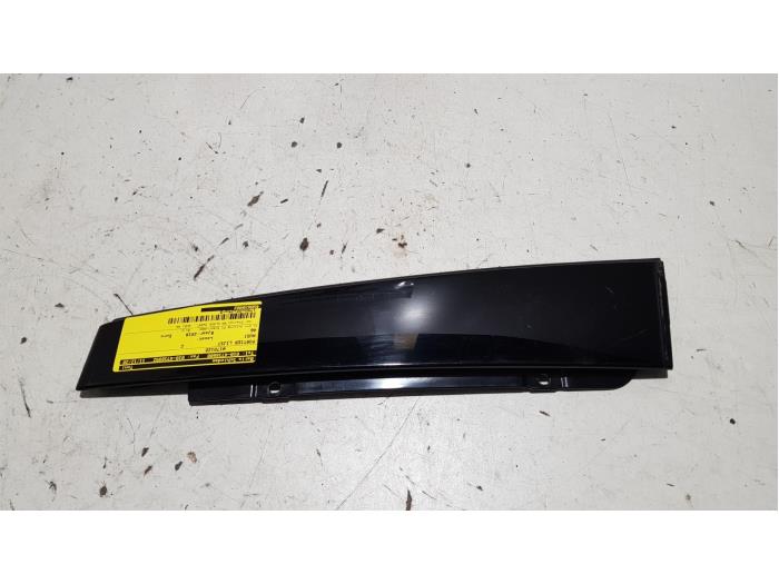 Door glass trim molding