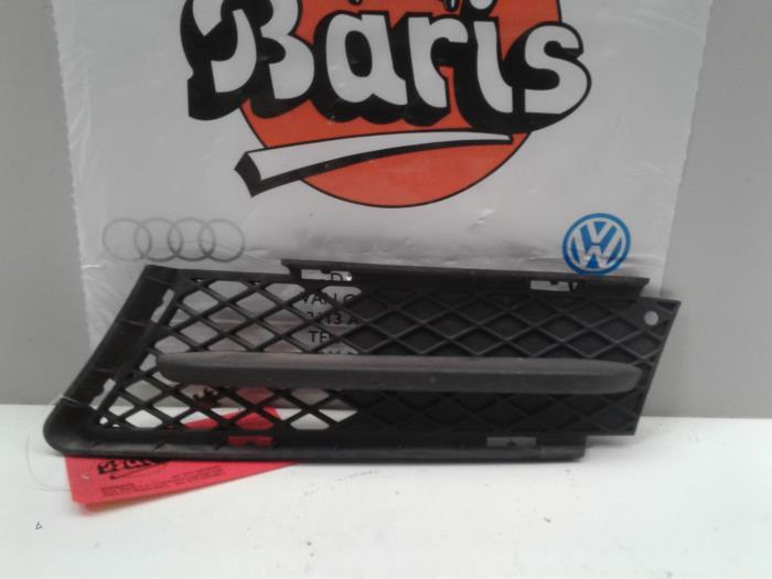 Front bumper lower grill