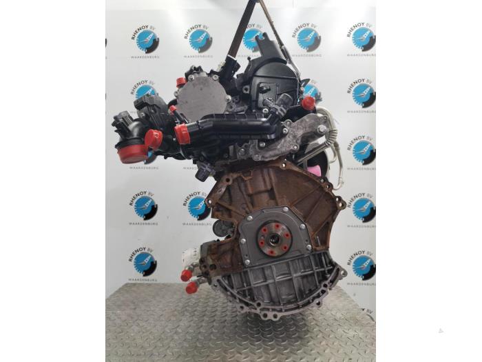 Usagé Moteur Ford Fiesta Prix sur demande proposé par Rhenoy Onderdelen b.v.