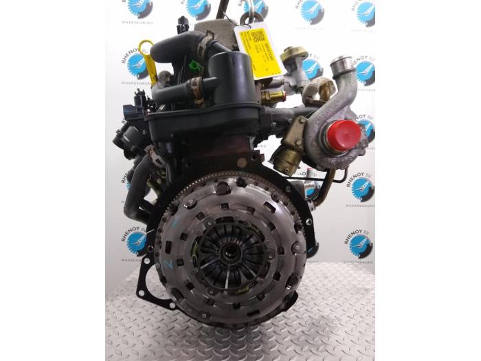 Used Motor Ford Focus Price on request offered by Rhenoy Onderdelen b.v.