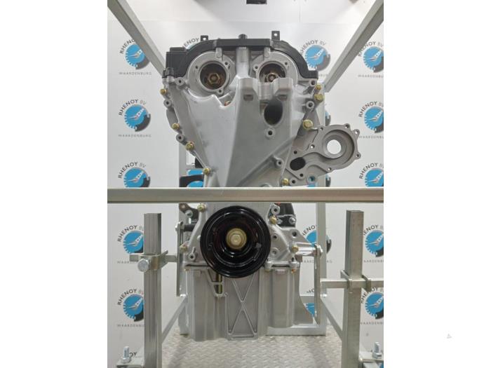 Motor Ford Focus (Überprüft)