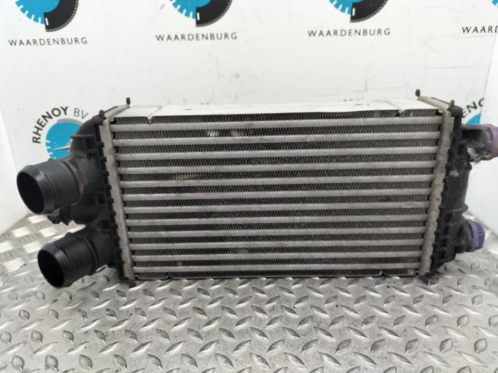 Usados Intercooler Peugeot 2008 Precio € 121,00 IVA incluido ofrecido por Rhenoy Onderdelen b.v.