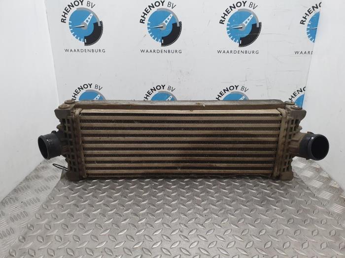 Usados Intercooler Ford Transit Custom Precio € 96,80 IVA incluido ofrecido por Rhenoy Onderdelen b.v.