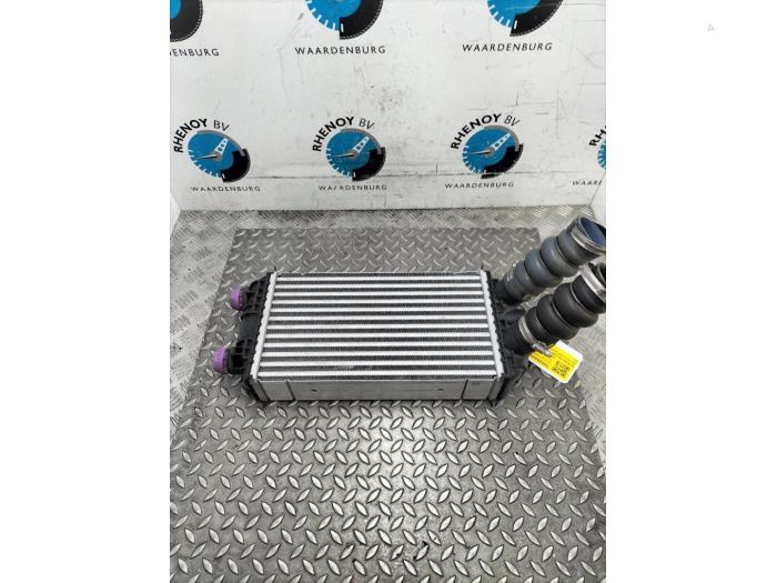 Usados Intercooler DS Automobiles DS3 Crossback Precio € 157,30 IVA incluido ofrecido por Rhenoy Onderdelen b.v.