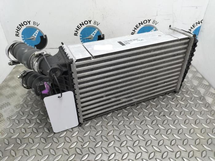Usados Intercooler Peugeot 208 Precio de solicitud ofrecido por Rhenoy Onderdelen b.v.