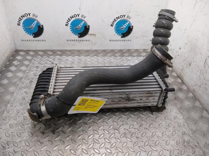 Usados Intercooler Ford Transit Connect Precio € 96,80 IVA incluido ofrecido por Rhenoy Onderdelen b.v.