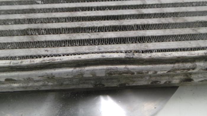 Usados Intercooler Iveco New Daily Precio € 96,80 IVA incluido ofrecido por Rhenoy Onderdelen b.v.