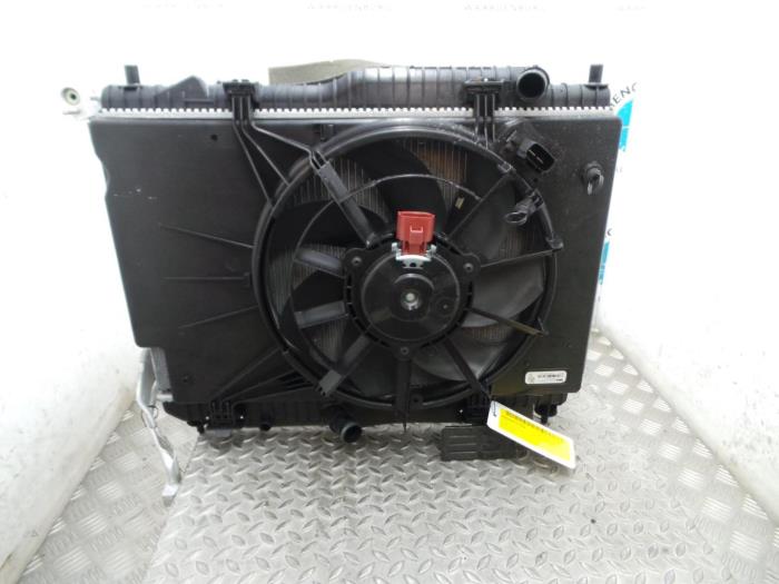 Gebrauchte Kühler Ford Fiesta Preis € 302,50 Mit Mehrwertsteuer angeboten von Rhenoy Onderdelen b.v.