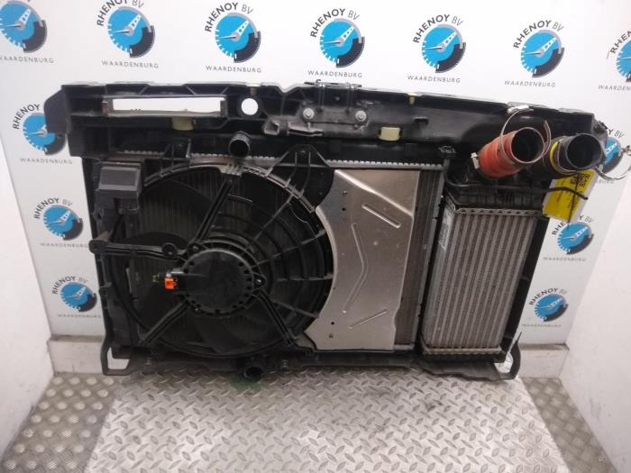 Usagé Radiateur Peugeot 2008 Prix € 363,00 Prix TTC proposé par Rhenoy Onderdelen b.v.