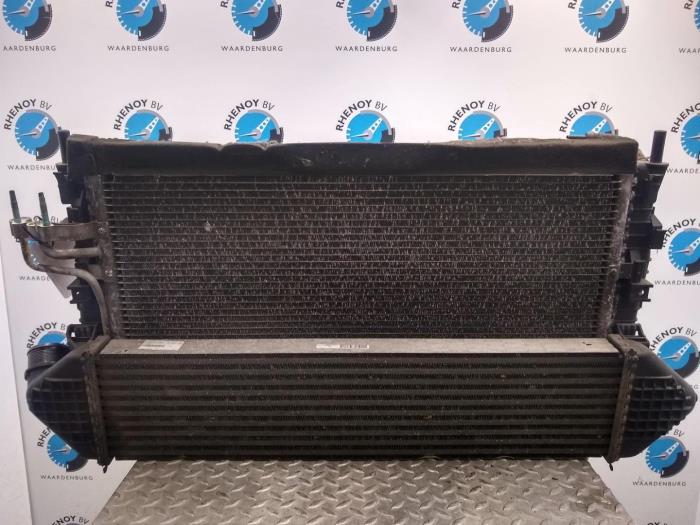 Gebrauchte Kühler Ford Focus Preis € 151,25 Mit Mehrwertsteuer angeboten von Rhenoy Onderdelen b.v.