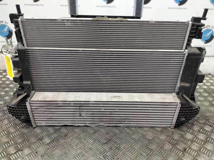 Usagé Radiateur Ford C-Max Prix € 484,00 Prix TTC proposé par Rhenoy Onderdelen b.v.