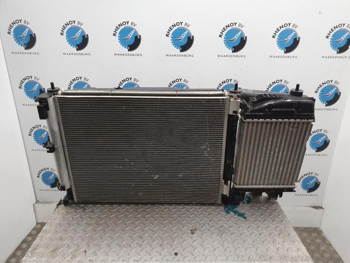 Usagé Radiateur Nissan Juke Prix € 605,00 Prix TTC proposé par Rhenoy Onderdelen b.v.