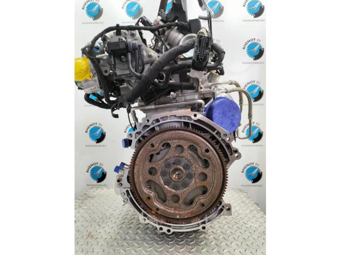 Overhauled Engine Ford Focus Price on request offered by Rhenoy Onderdelen b.v.