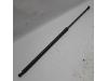 Renault Grand Scénic III (JZ) 1.5 dCi 110 Rear gas strut, right