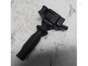Used Ignition coil Ford S-Max (GBW) 2.0 Ecoboost 16V Price € 21,00 Margin scheme offered by Reclycar De Boer BV