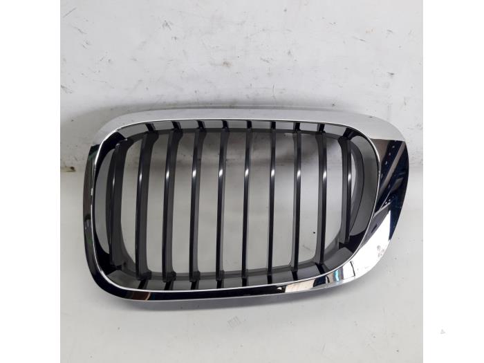 Nya Grill BMW 3-Serie Pris € 21,01 Inklusive moms erbjuds av Reclycar De Boer BV