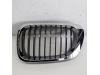 Grille from a BMW 3-Serie 1999
