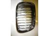 Grille from a BMW 3-Serie 2001