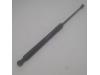 Rear gas strut, left from a Citroen DS3 (SA), 2009 / 2015 1.6 e-HDi, Hatchback, Diesel, 1.560cc, 68kW (92pk), FWD, DV6DTED; 9HP, 2009-11 / 2015-07, SA9HP 2011