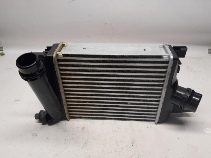 Usados Intercooler Dacia Duster (SR) 1.0 TCE 100 Bi-Fuel, Eco-G 12V Precio € 157,50 Norma de margen ofrecido por Reclycar De Boer BV