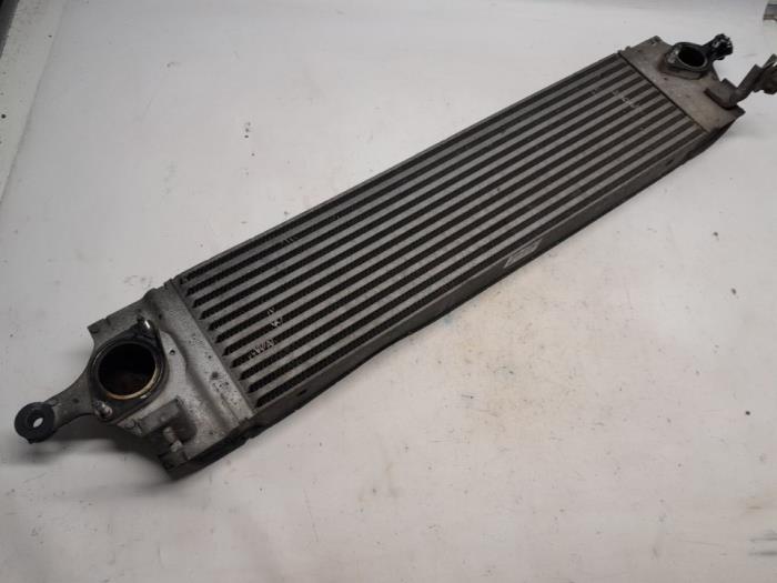 Used Intercooler Nissan X-Trail (T31) 2.0 XE,SE,LE dCi 16V 4x4 Price € 26,25 Margin scheme offered by Reclycar De Boer BV