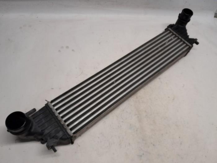 Usagé Intercooler Fiat Tipo (356S) 1.3 JTD Multijet II 16V Prix € 52,50 Règlement à la marge proposé par Reclycar De Boer BV