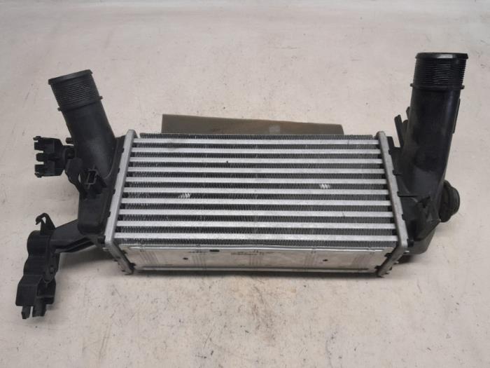 Usados Intercooler Ford EcoSport (JK8) 1.0 EcoBoost 12V 125 Precio € 68,25 Norma de margen ofrecido por Reclycar De Boer BV