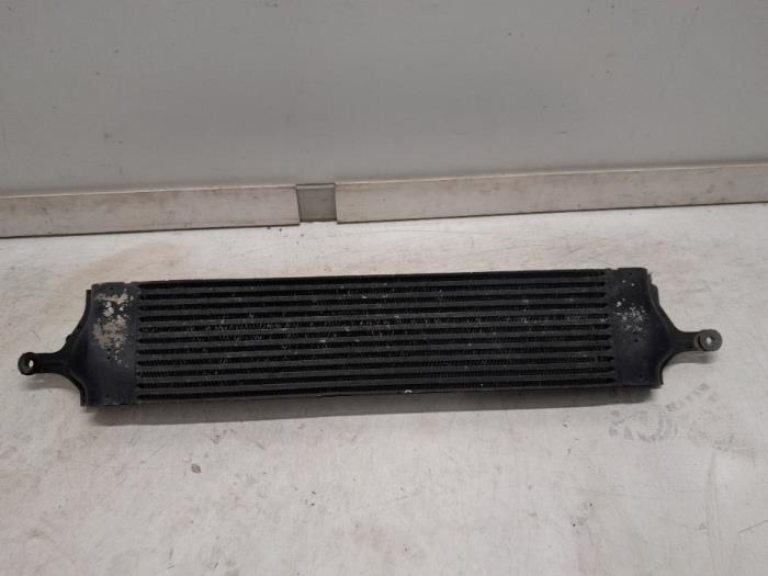 Usados Intercooler Renault Koleos I 2.0 dCi 16V 4x4 Precio € 89,25 Norma de margen ofrecido por Reclycar De Boer BV