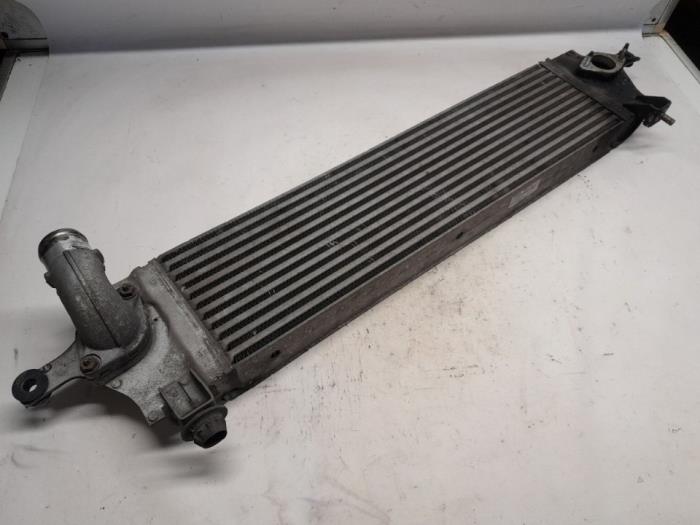 Usados Intercooler Nissan Qashqai (J10) 2.0 dCi 4x4 Precio € 52,50 Norma de margen ofrecido por Reclycar De Boer BV