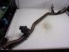 Exhaust front section from a Renault Clio IV Estate/Grandtour (7R) 1.5 Energy dCi 90 FAP 2015
