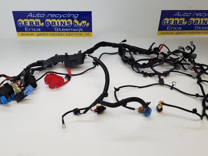 Wiring harness from a Renault Clio IV (5R) 0.9 Energy TCE 90 12V 2017