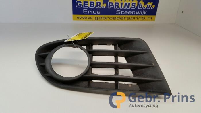 Grille inférieure de pare-chocs avant
