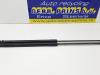 Ford Focus Set of tailgate gas struts
