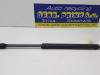 Set of tailgate gas struts from a Volkswagen Touareg (7LA/7L6), 2002 / 2010 3.0 TDI V6 24V, SUV, Diesel, 2.967cc, 176kW (239pk), 4x4, CASA, 2007-11 / 2010-05, 7L6 2008