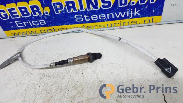Gebrauchte Lambdasonde Ford Fiesta 6 (JA8) 1.0 EcoBoost 12V 100 Preis € 20,00 Margenregelung angeboten von Autorec. Gebr. Prins b.v.