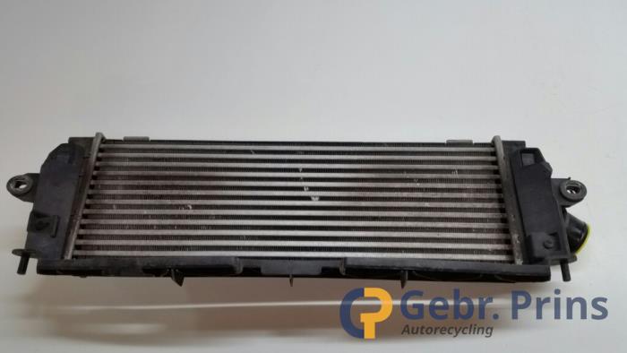 Usados Intercooler Renault Trafic Precio € 40,00 Norma de margen ofrecido por Autorec. Gebr. Prins b.v.