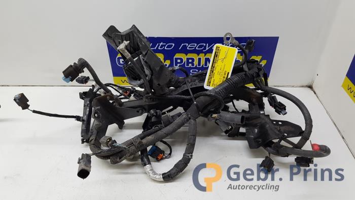Begagnade Kablage Ford Fiesta 6 (JA8) 1.5 TDCi Pris € 50,00 Marginaltabell erbjuds av Autorec. Gebr. Prins b.v.