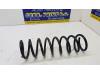 Rear coil spring from a Ford Focus 3 1.6 EcoBoost 16V 2012