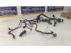 Wiring harness engine room from a Fiat Panda (312) 0.9 TwinAir 60 2015