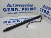 Ford Focus 4 Wagon 1.0 Ti-VCT EcoBoost 12V 125 Rear gas strut, right