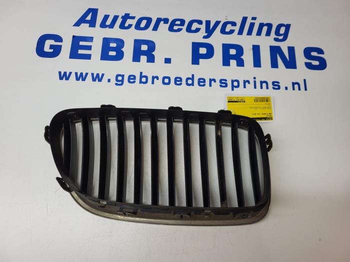Grille from a BMW 5 serie (F10) 525d xDrive 16V 2013