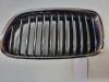 Grille from a BMW 5 serie (F10) 525d xDrive 16V 2013